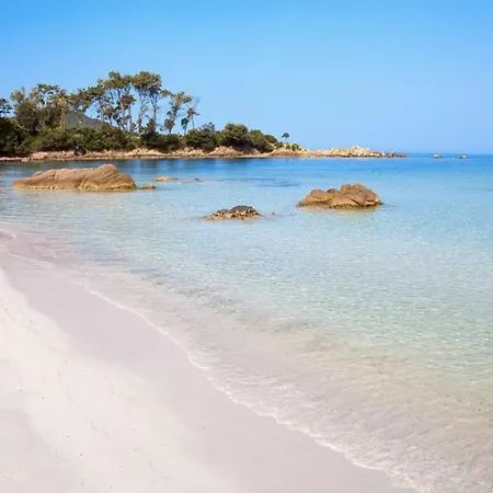 T2 Avec Piscine Chauffee - Vue Exceptionnelle Sur La Mer - Parking & Wifi - Plage A 50M Apartment Ajaccio (Corsica)