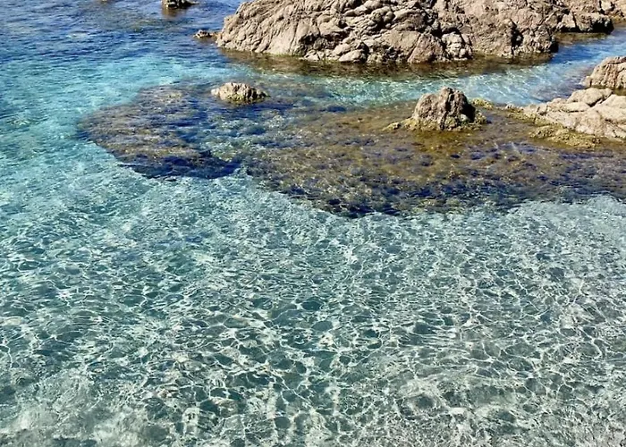 T2 Avec Piscine Chauffée - Vue Exceptionnelle Sur La - Parking&wifi - à 50m * Ajaccio (Corsica)
