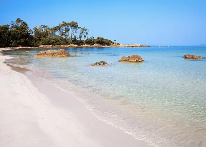 T2 Avec Piscine Chauffée - Vue Exceptionnelle Sur La - Parking&wifi - à 50m Appartement Ajaccio (Corsica)